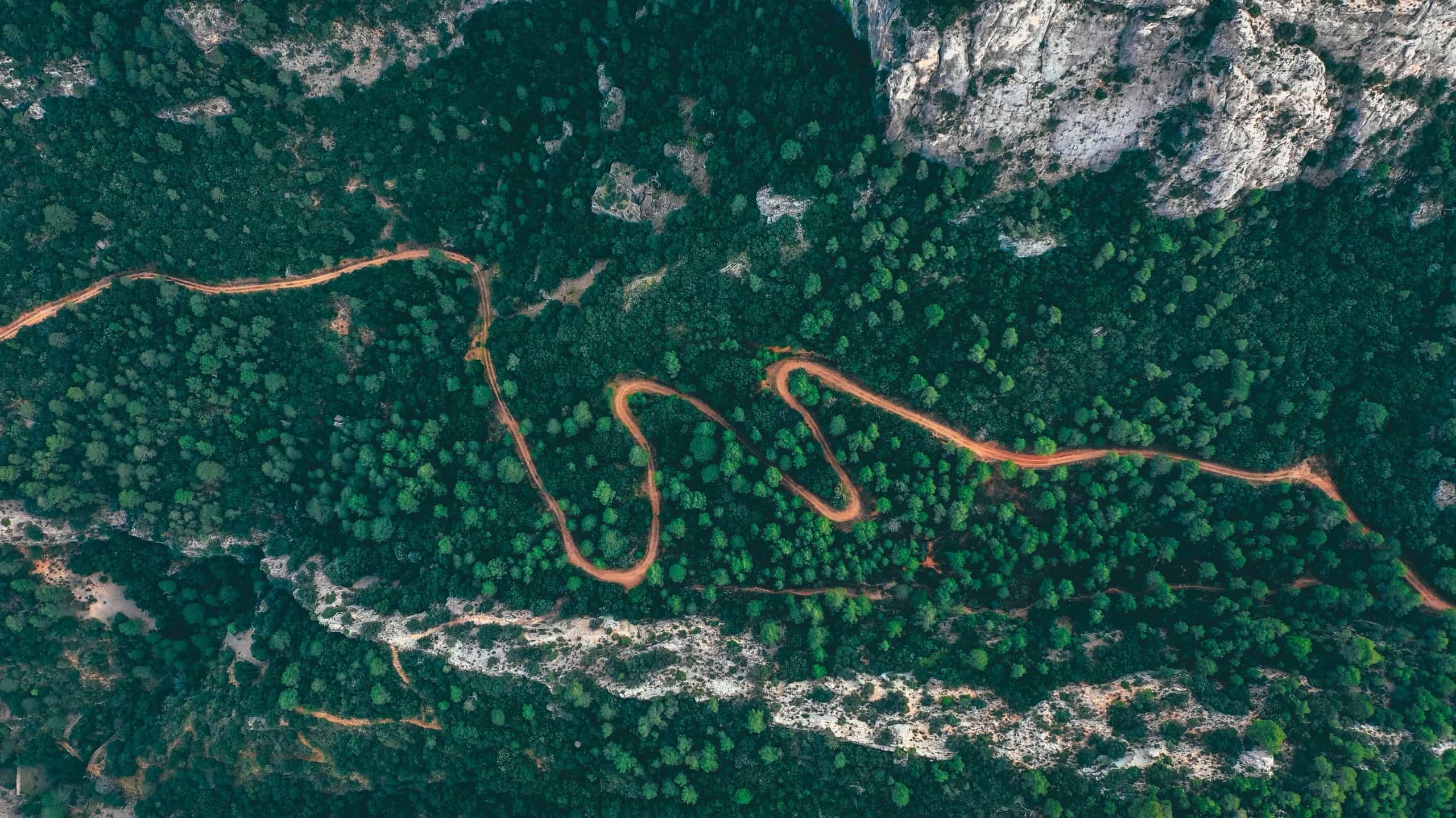 Aerial view of a serpentine gravel road carving through dense Catalan forest, flanked by white limestone outcrops.